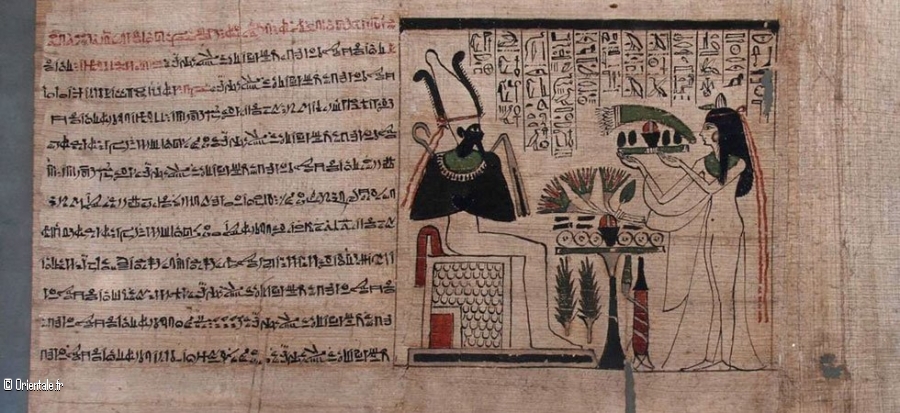 Papyrus egyptien