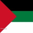 Drapeau des couleurs du Pan-arabisme