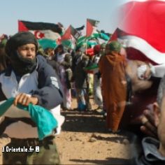 Militants Sahraouis - Militants Palestiniens : même combat