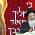 Rabbin qui interprte la Loi d'aprs le Shulchan Aruch