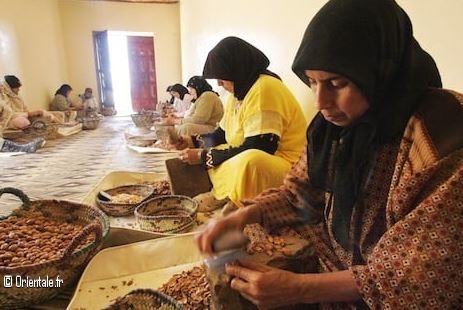 Fabrication de l'huile d'argan au Maroc