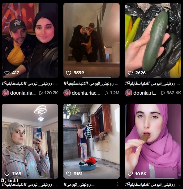 Capture de vidos publies sur TikTok par Dounia Stayfiya